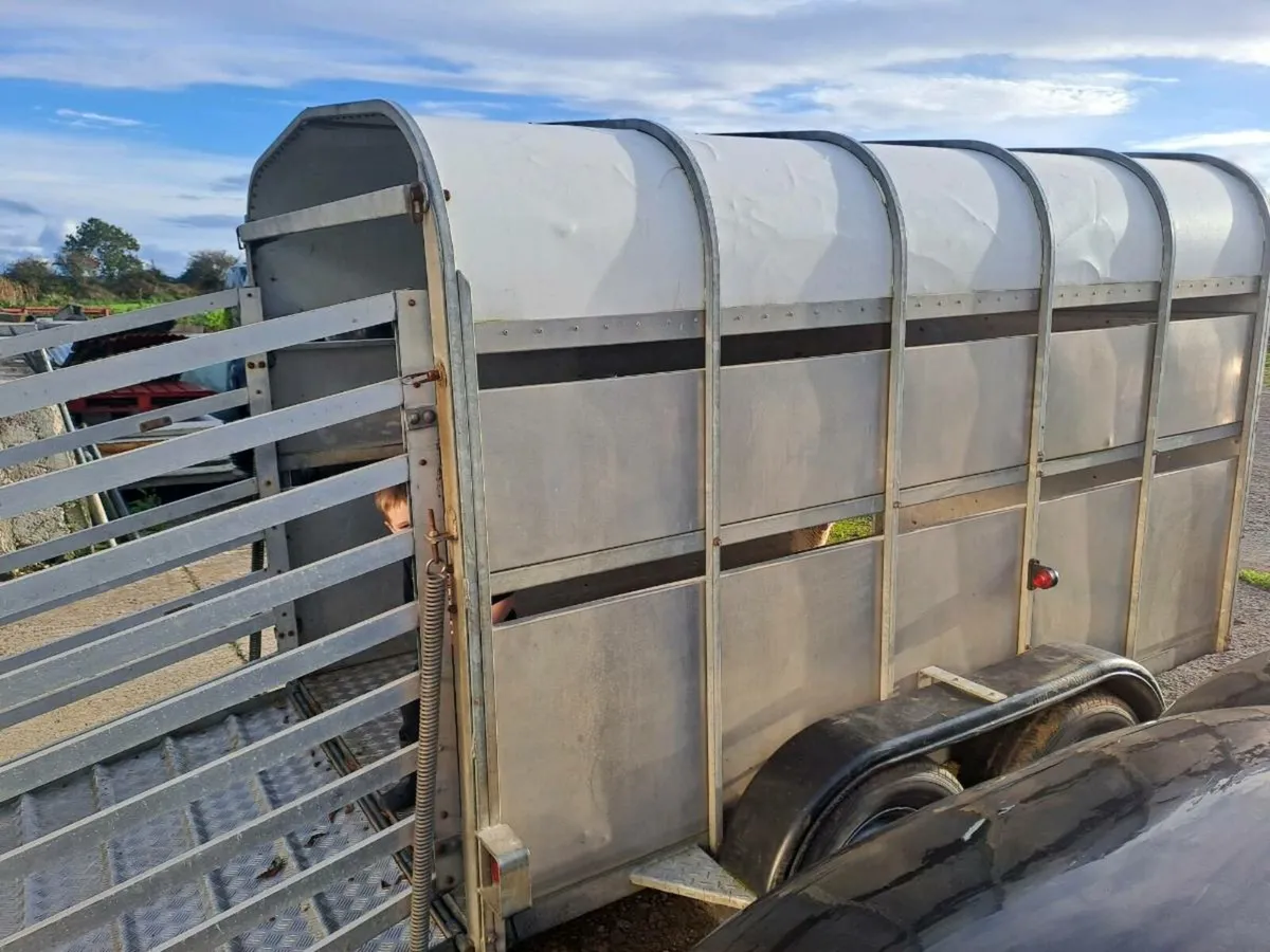 Nugent cattle trailer - Image 2