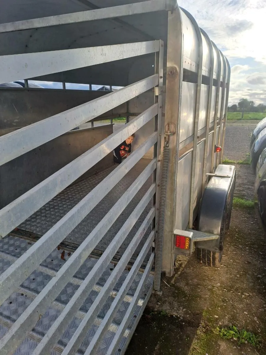 Nugent cattle trailer - Image 3