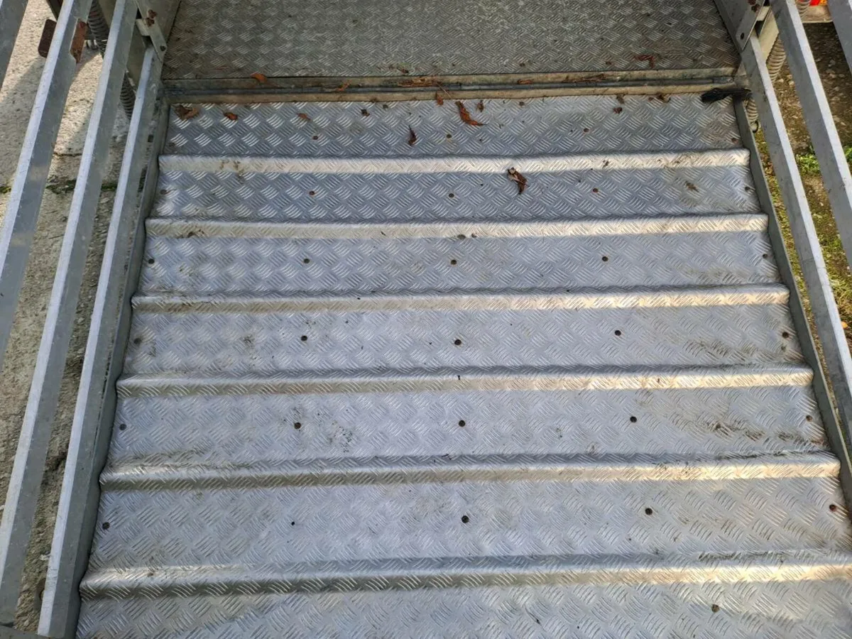 Nugent cattle trailer - Image 4