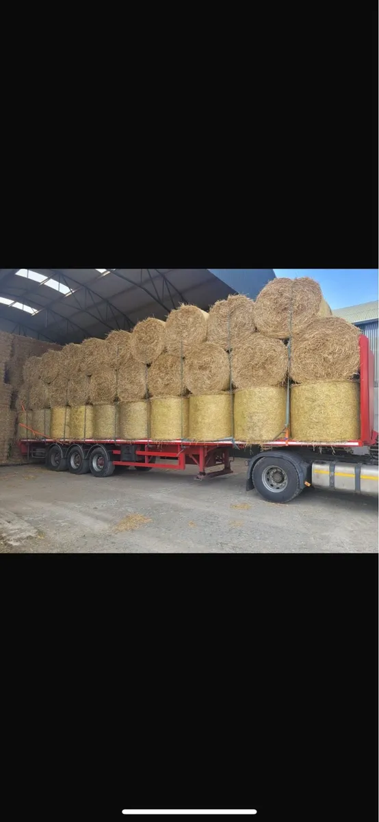 Barley & wheat straw