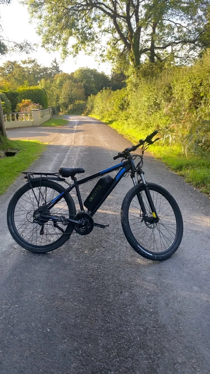 Electric Bike - Image 1