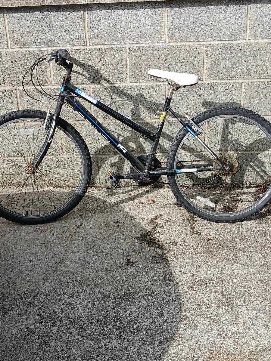 Bike - Image 4