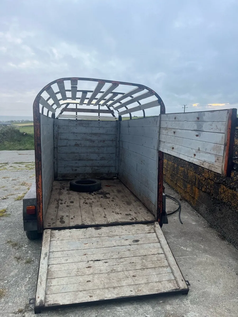 Cattle Box - Image 4