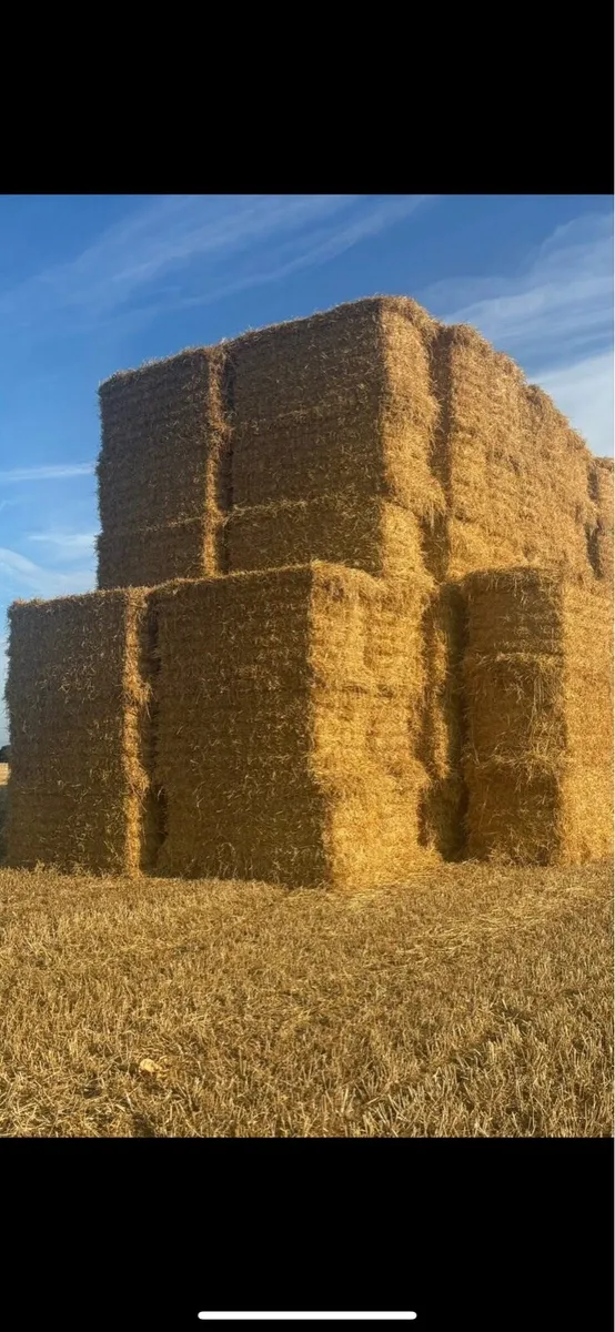 Wheaten straw for sale