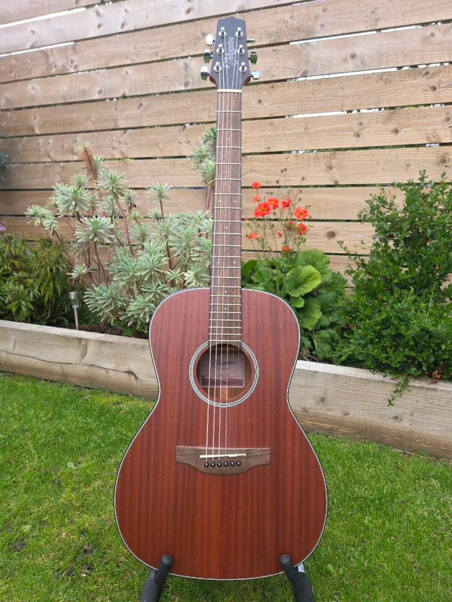 Takamine New Yorker - Image 2
