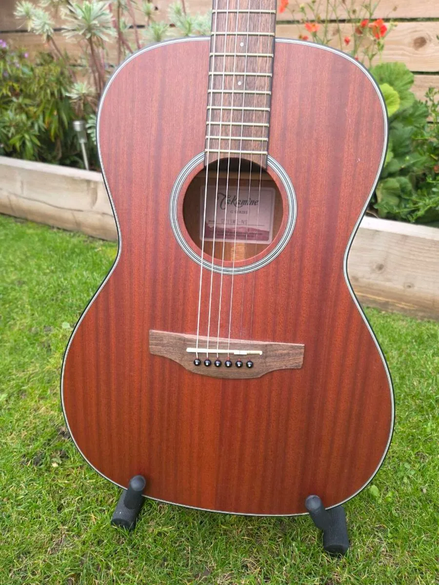 Takamine New Yorker - Image 4