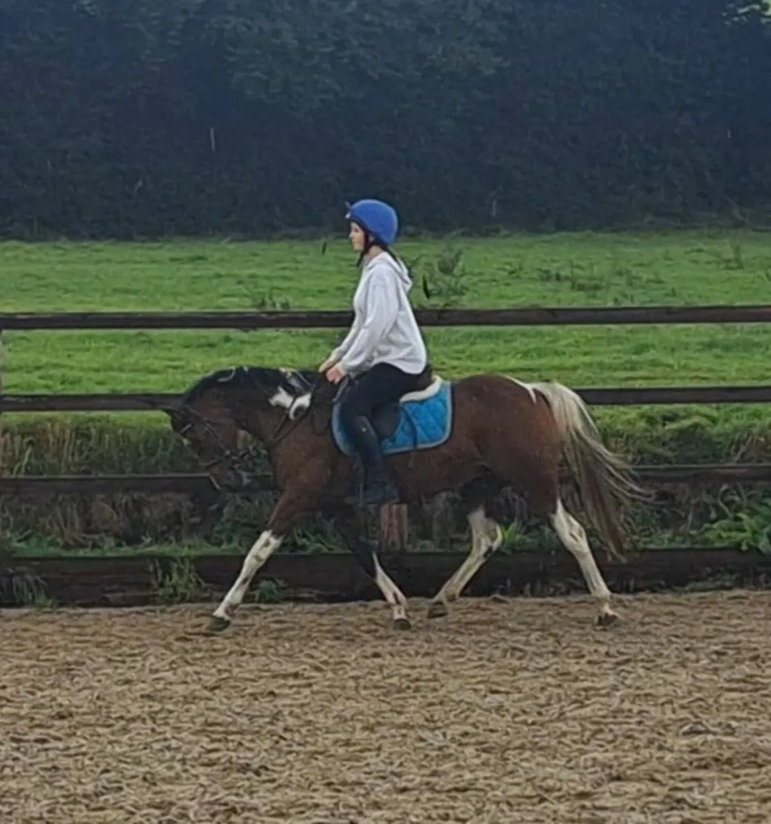 Pony - Image 1