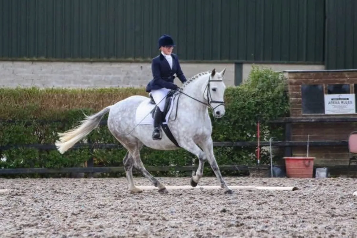 Amazing Allrounder - Image 2