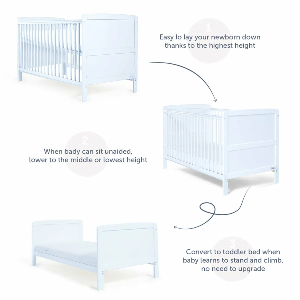 Cot - Image 2