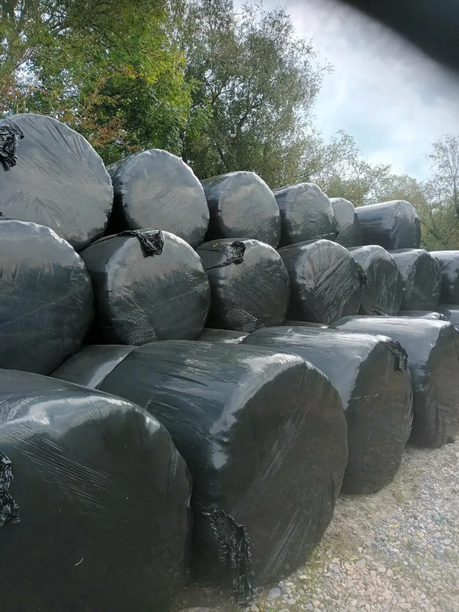 Silage Bales - Image 1