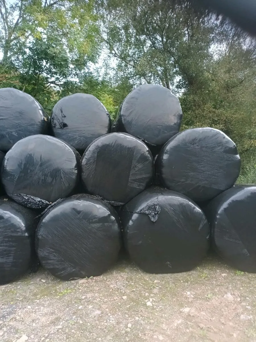 Silage Bales - Image 2