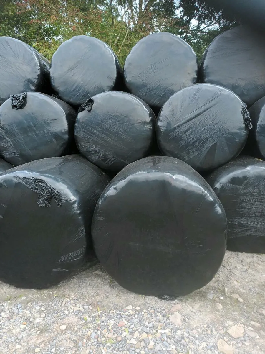 Silage Bales - Image 3