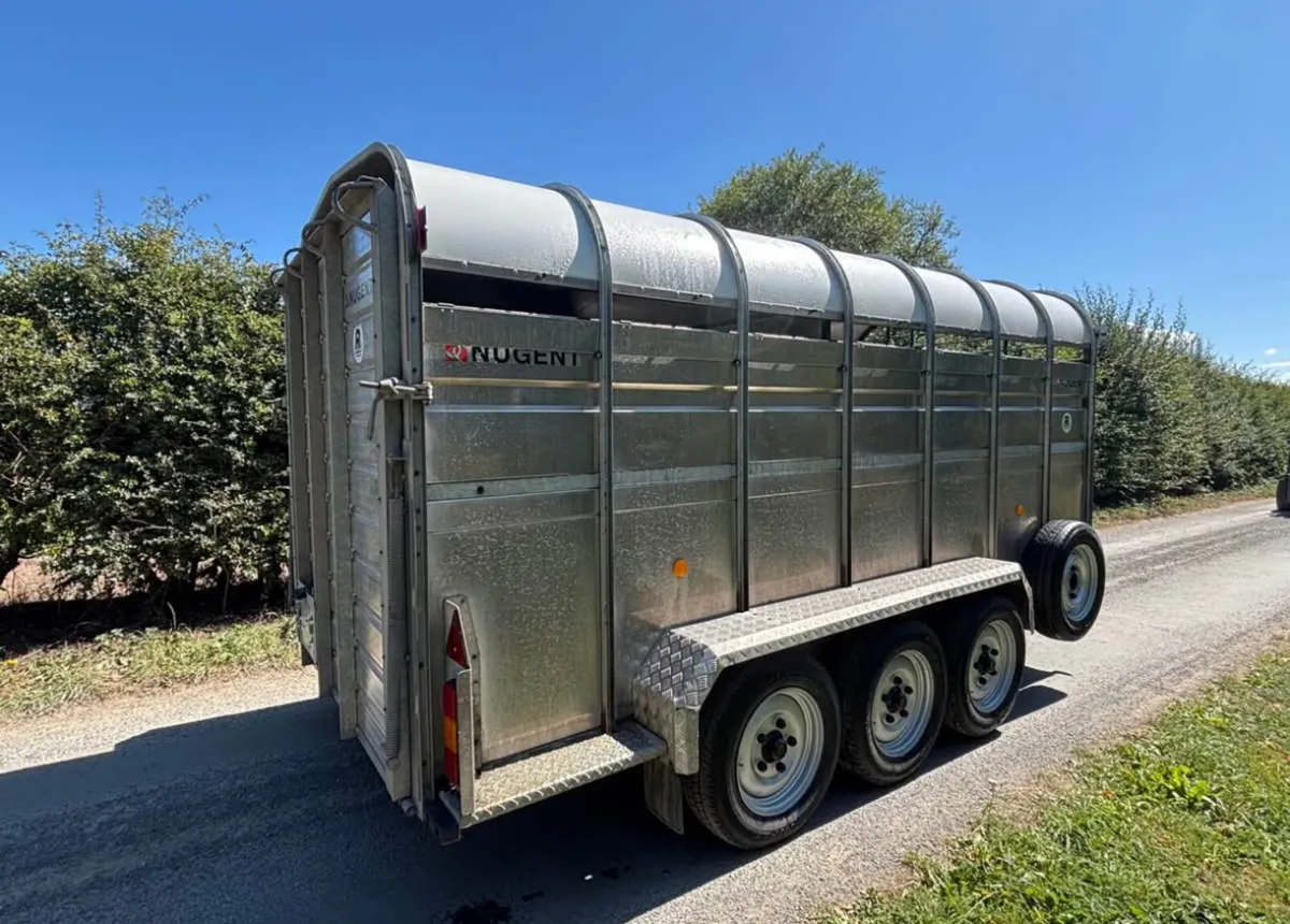 nugent 14ft livestock trailer - Image 2