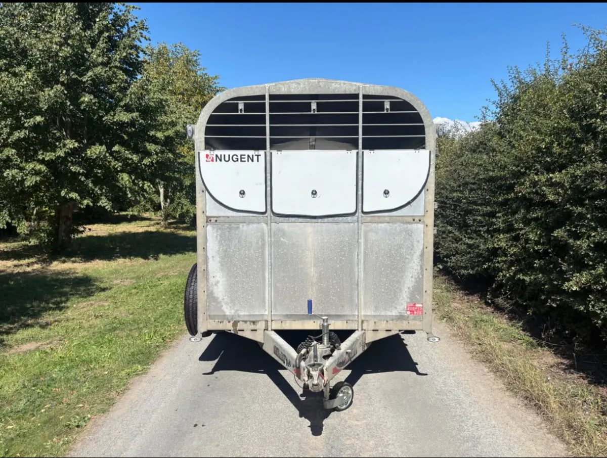 nugent 14ft livestock trailer - Image 3
