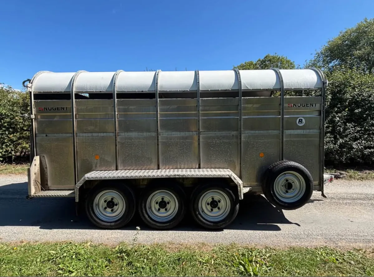nugent 14ft livestock trailer - Image 4