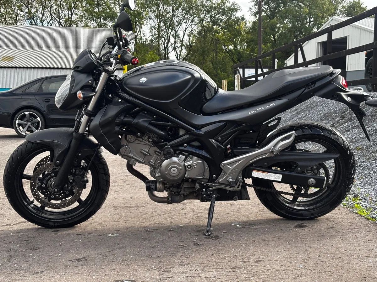 Suzuki 650 Gladius - Image 2