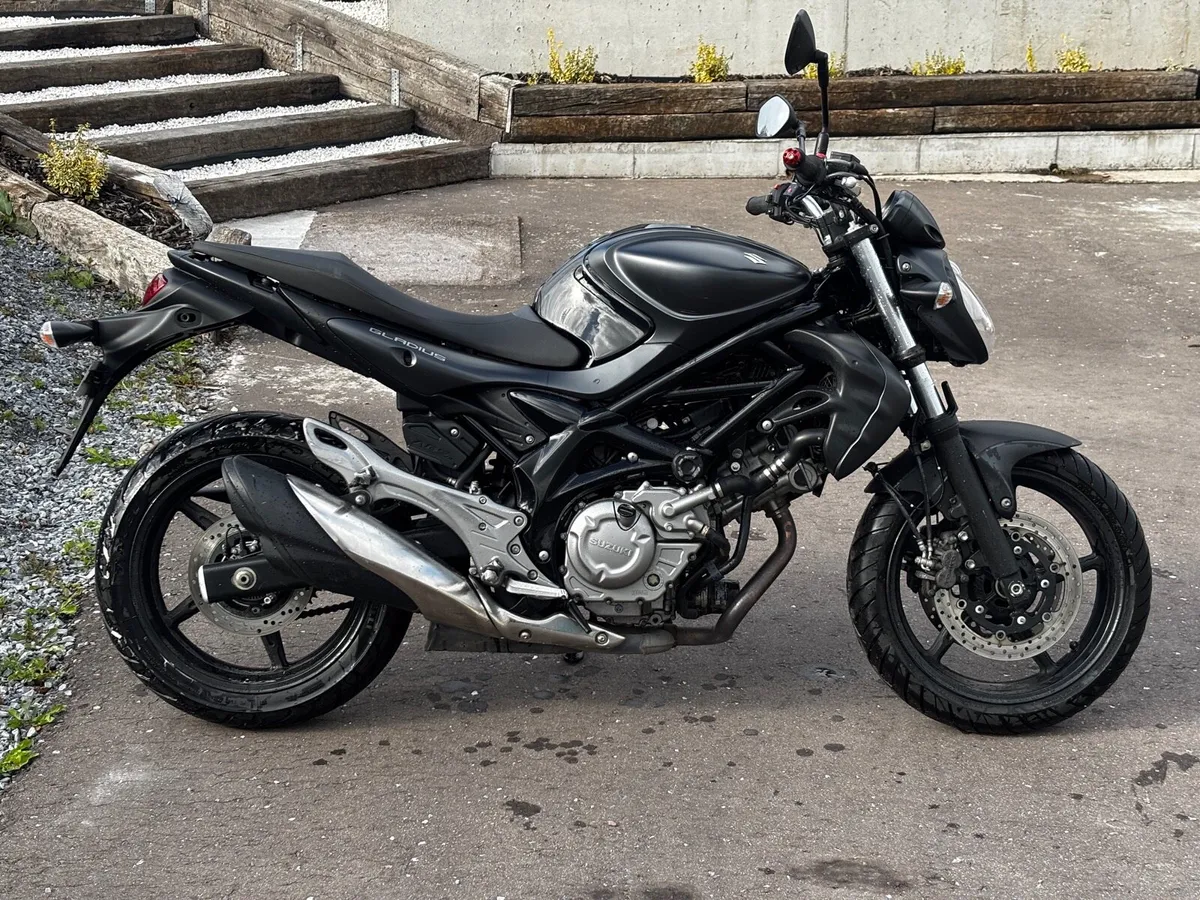Suzuki 650 Gladius - Image 3