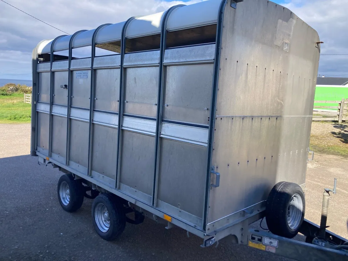 12 x6 6 ifor Williams cattle sheep trailer - Image 1