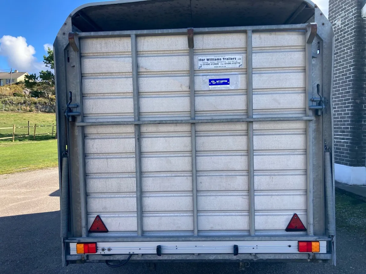 12 x6 6 ifor Williams cattle sheep trailer - Image 2