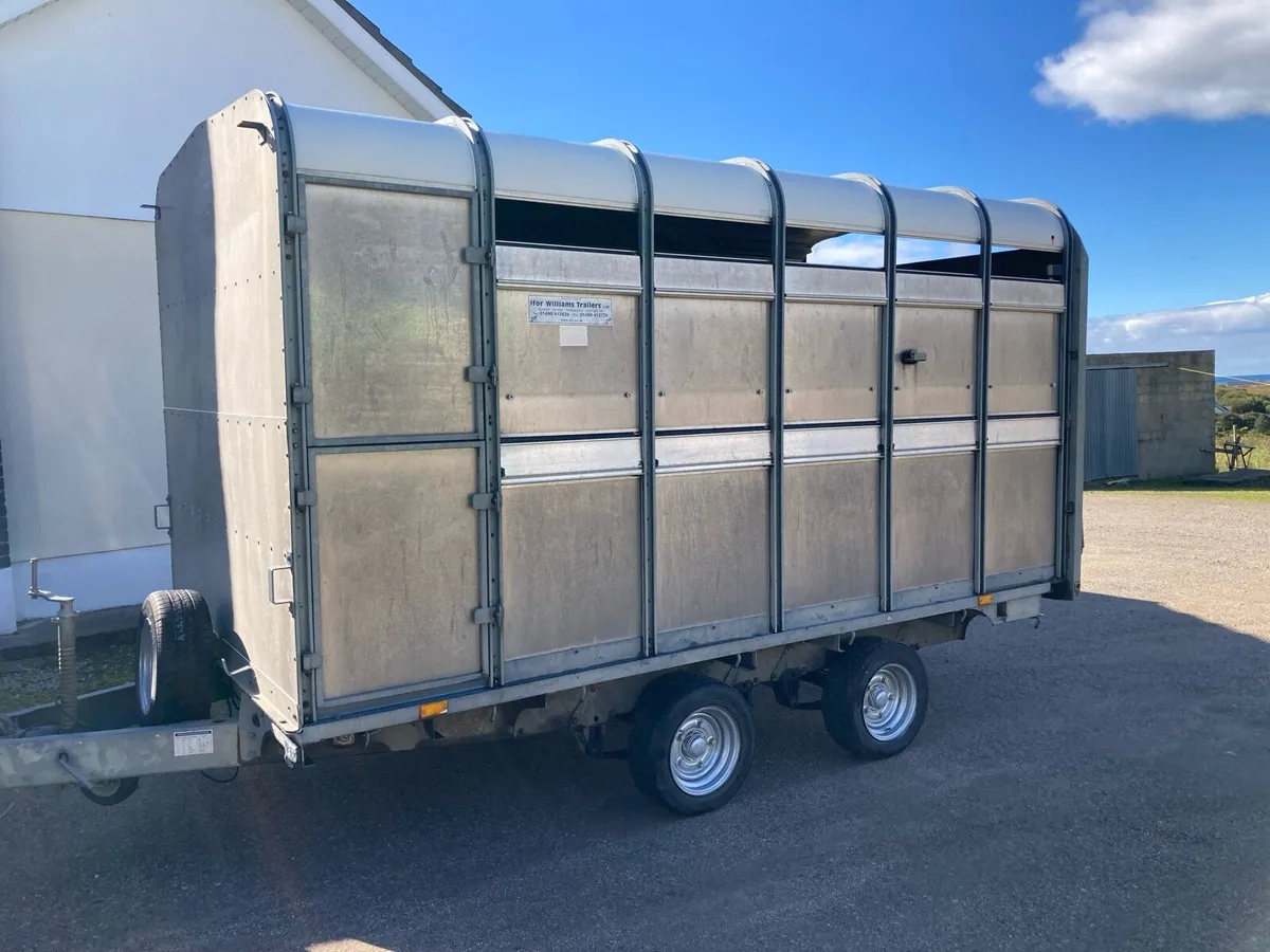 12 x6 6 ifor Williams cattle sheep trailer - Image 3