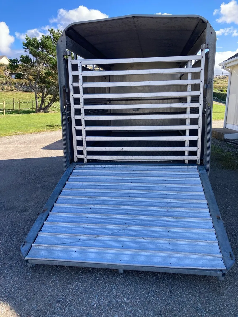 12 x6 6 ifor Williams cattle sheep trailer - Image 4