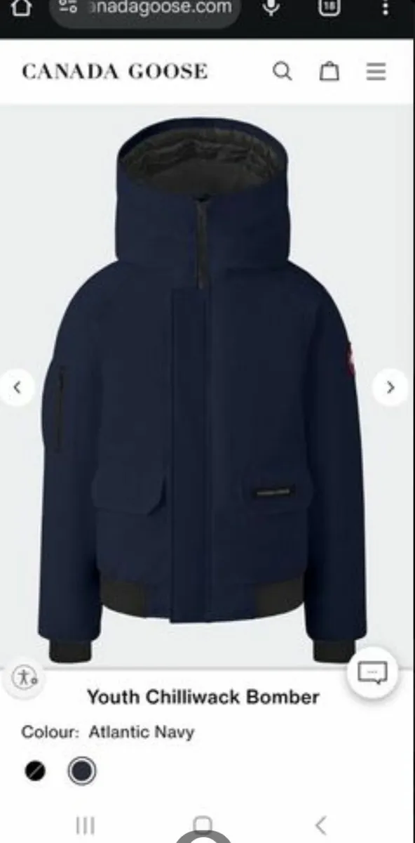 Canada goose