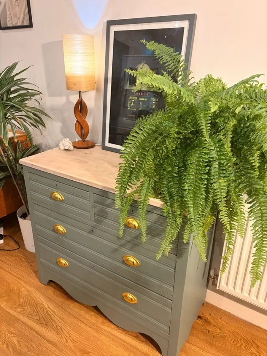chest of drawers - Image 4