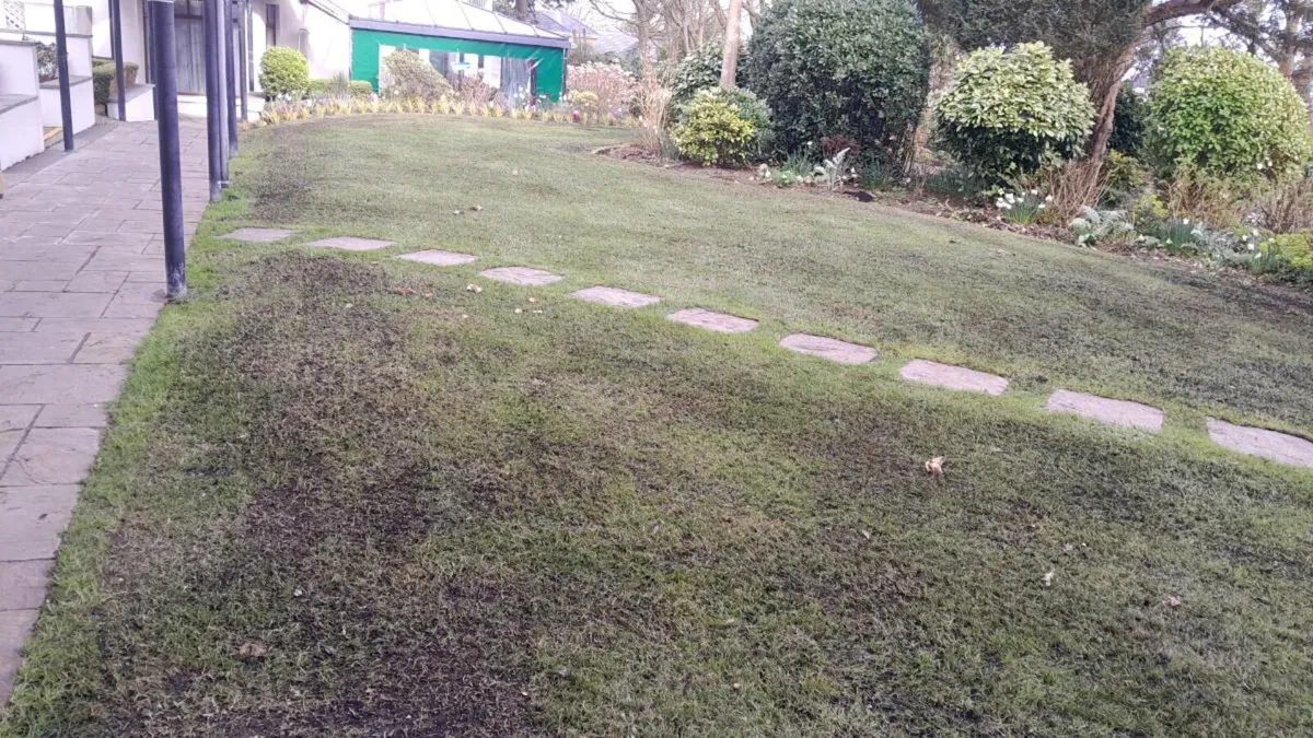 Garden maintenance - Image 2