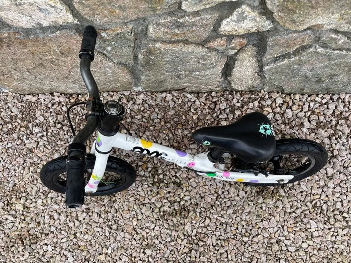 Tadpole Frog Bike - Image 2