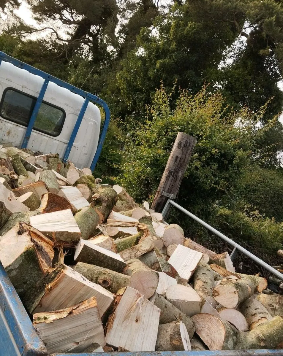 Hardwood softwood firewood - Image 1