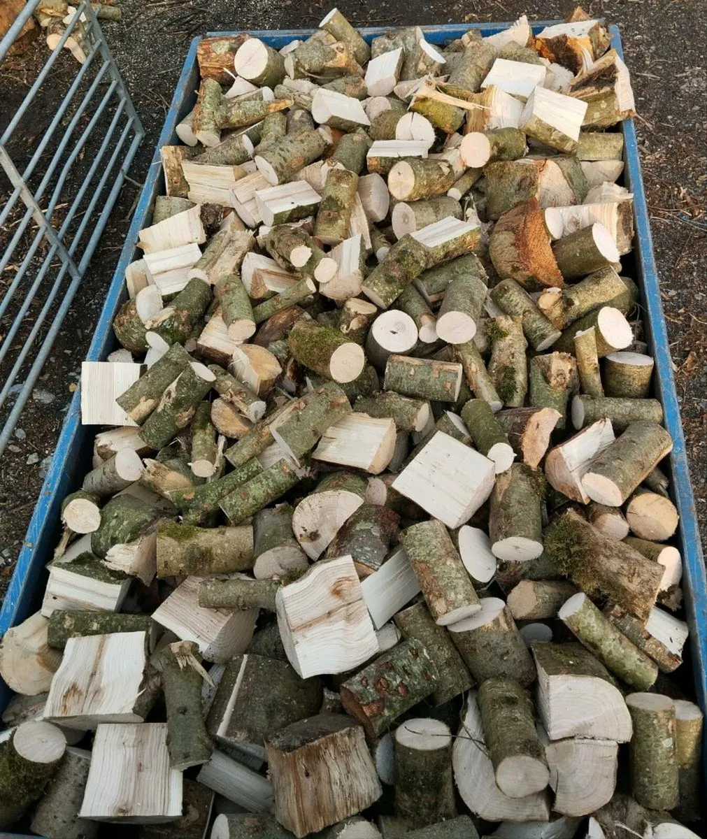Hardwood softwood firewood - Image 2