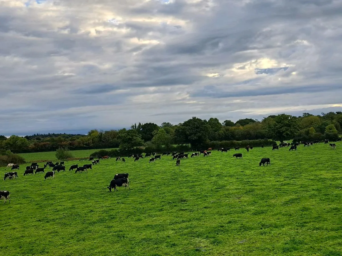 Farm assistant wanted - Image 1