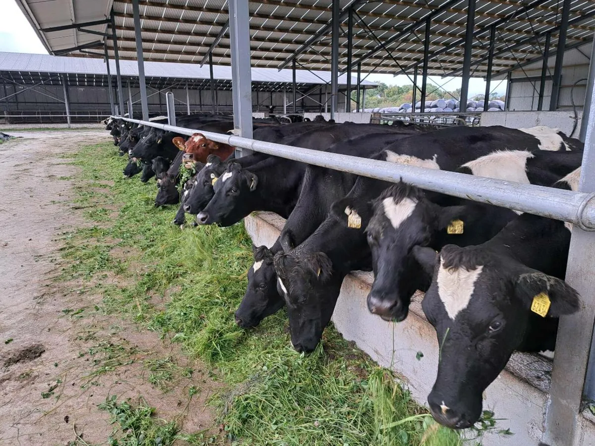 Farm assistant wanted - Image 2