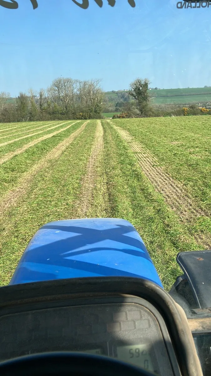 Silage bales - Image 1