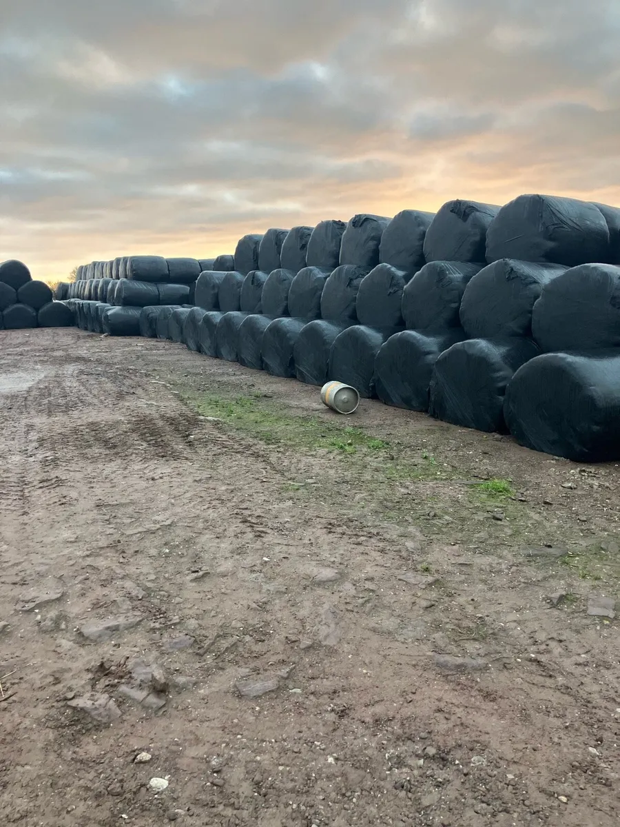 Silage bales - Image 2