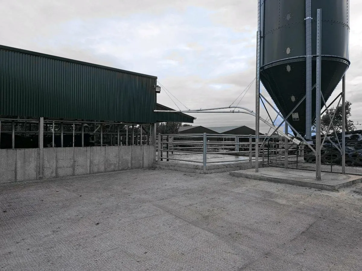 Farm assistant wanted - Image 3