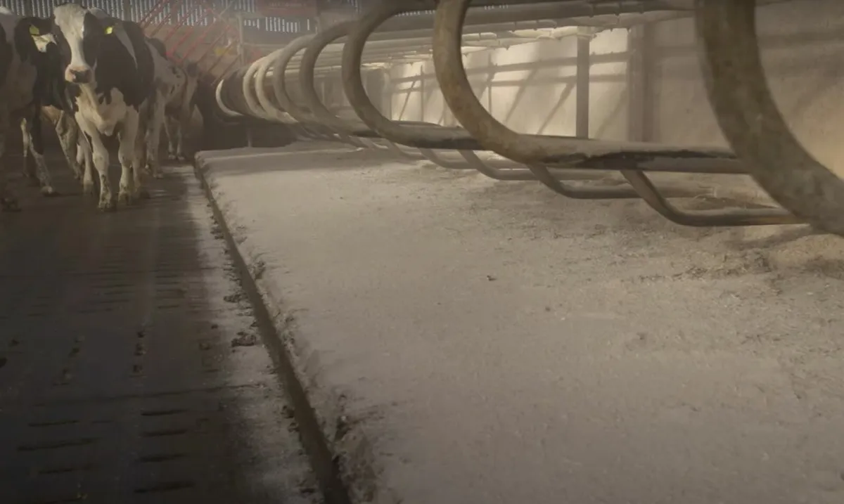 SUBLIME Dairy Cattle Bedding - Image 4