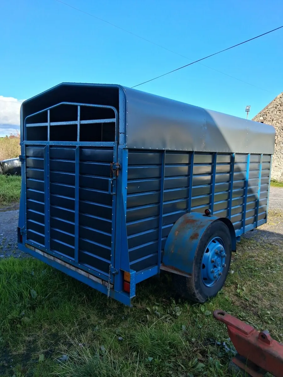 Cattle trailer 12ft x 5'6ft - Image 3