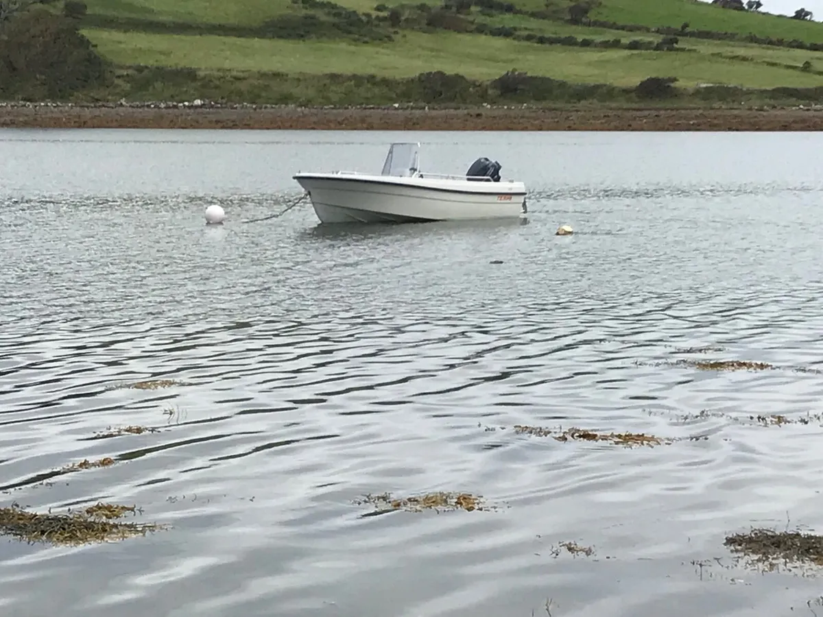 Tehri 445C Boat, Yamaha 25hp and trailer - Image 3