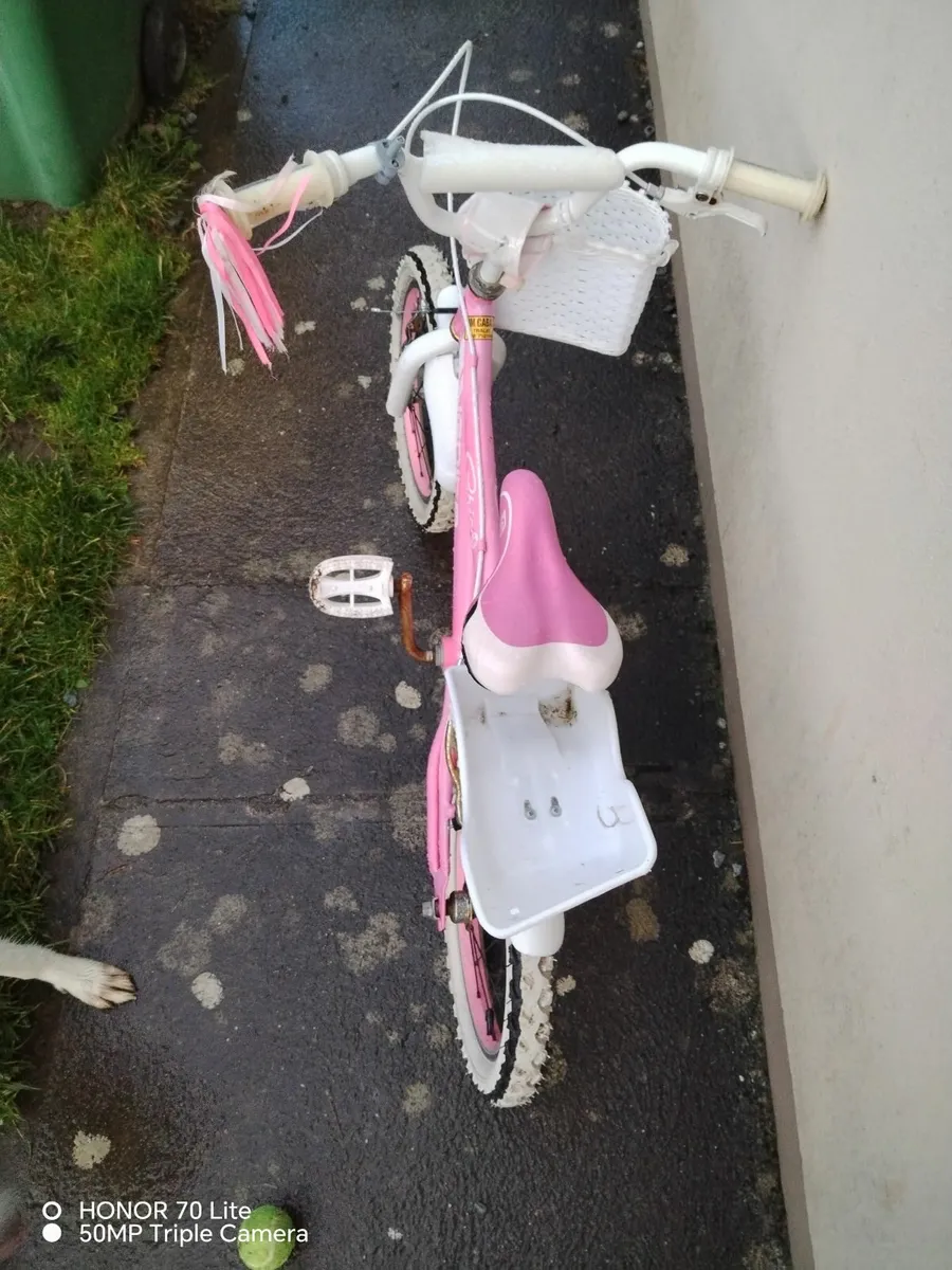 Bike - Image 2