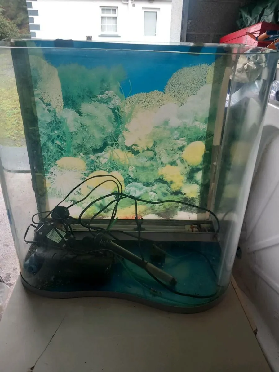 Fish tank - Image 1