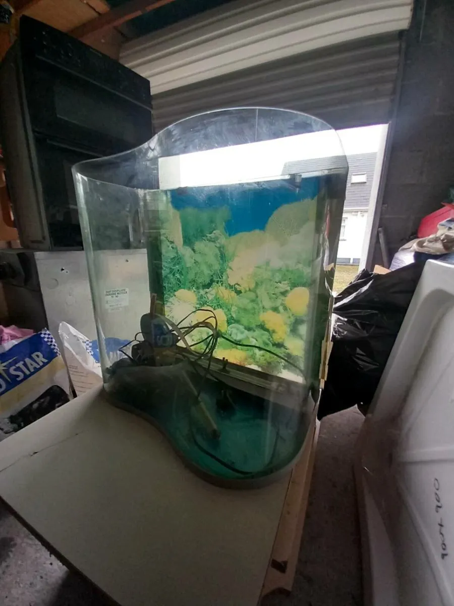 Fish tank - Image 2