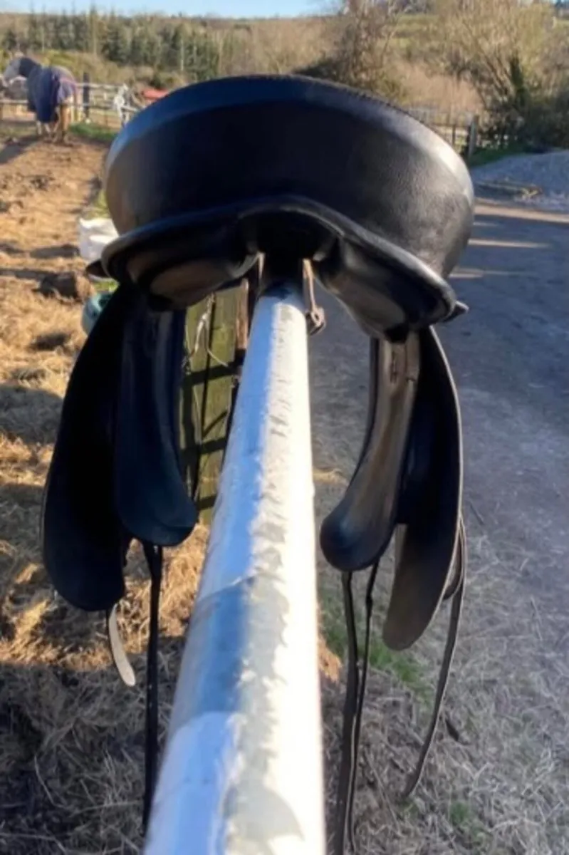 17 inch treeless dressage saddle Ansure USA - Image 3