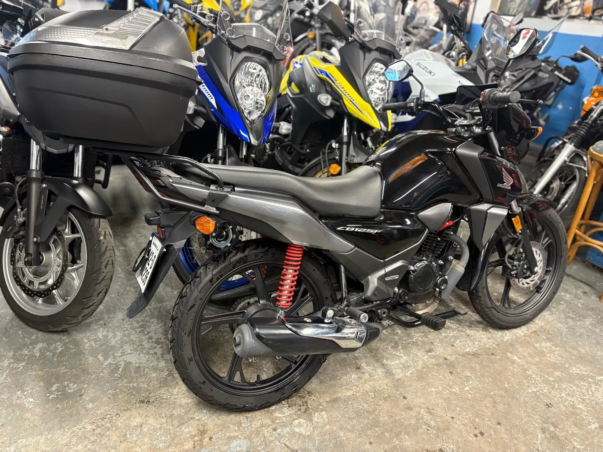 2024 Honda CBF125 - Image 3
