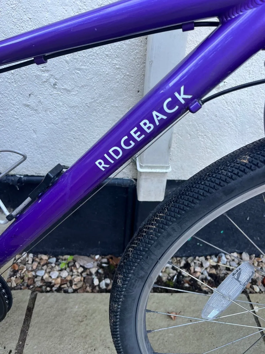 Dimension Ridgeback 26 inch Girls Bike in Purple - Image 3