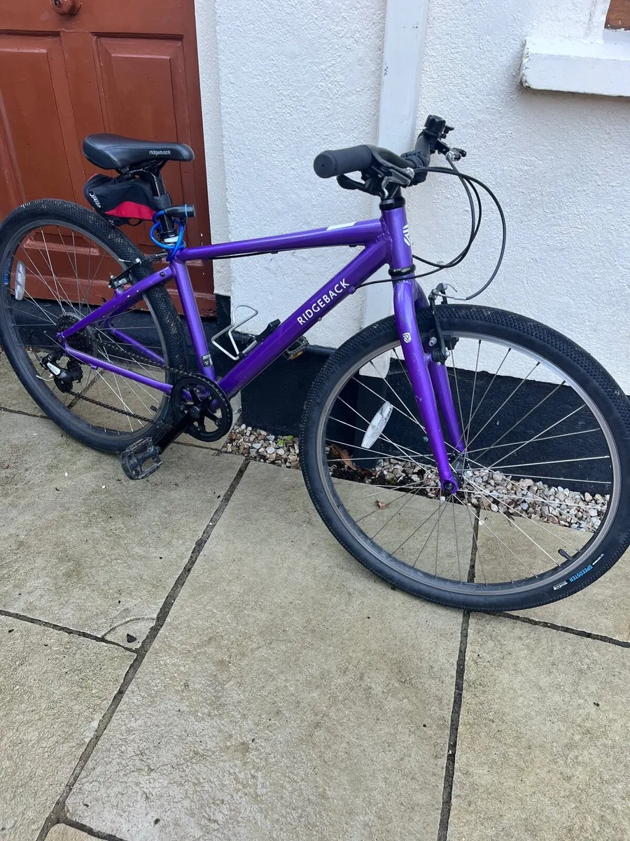 Dimension Ridgeback 26 inch Girls Bike in Purple - Image 1