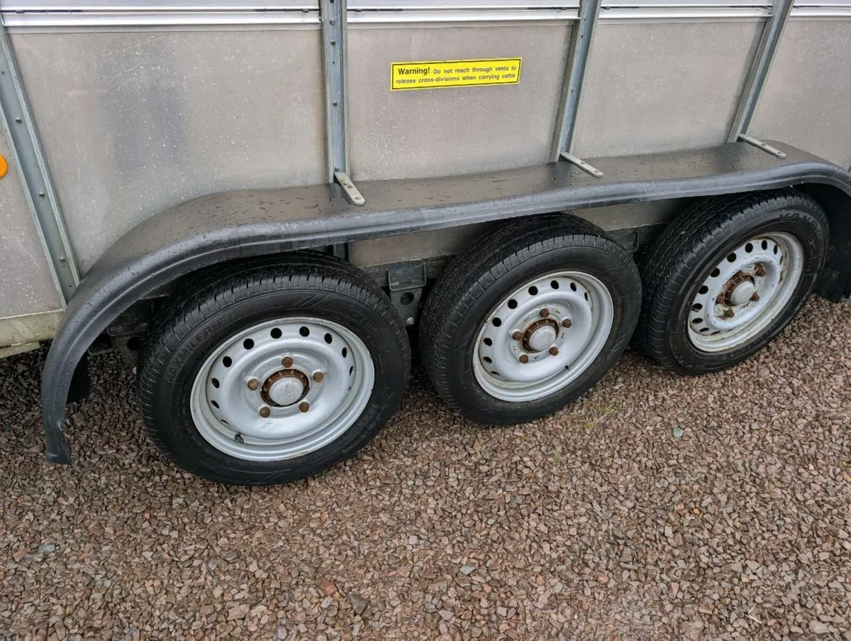 Ifor Williams Tri-Axle Cattle/Sheep(no Vat) - Image 3