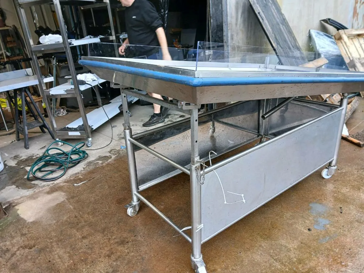 Fish display station - Image 1
