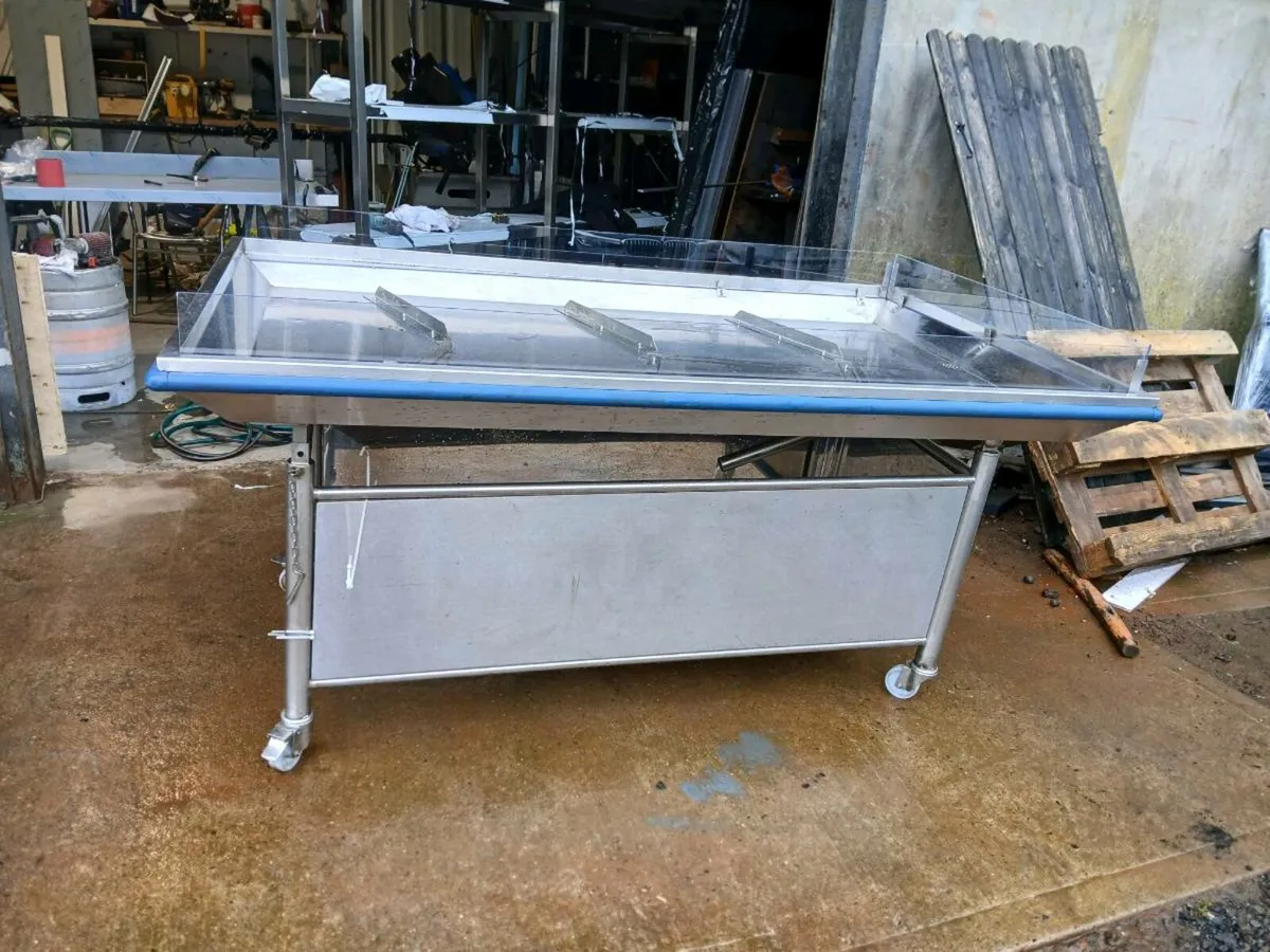 Fish display station - Image 2