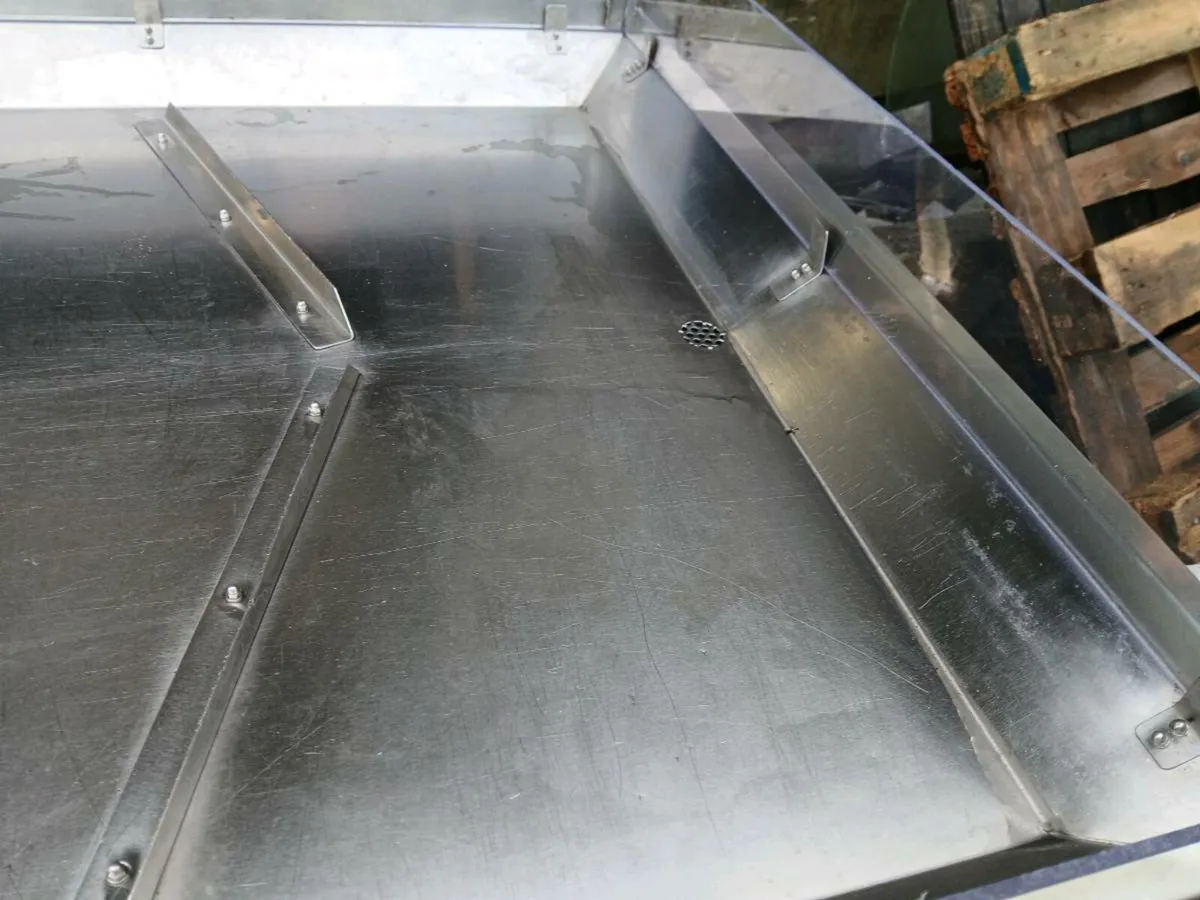 Fish display station - Image 4